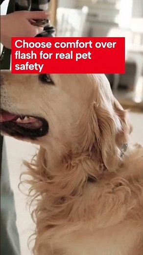 Essential Tips for Choosing Safe Pet Gear