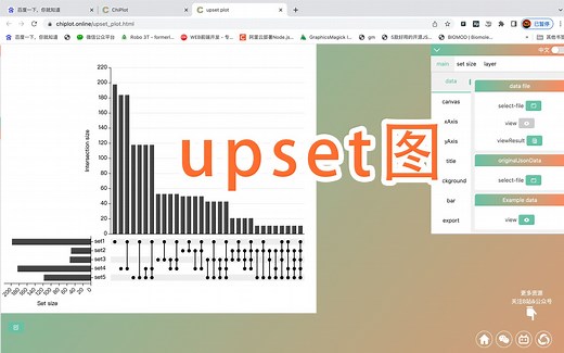 【ChiPlot】绘制upset图