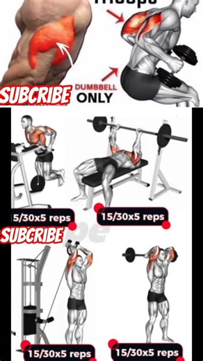 Best Triceps Exercises 💪 | Home & Gym Workout