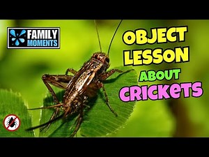 “The Loudest Praise from the Smallest Creatures 🦗 | A Joyful Noise Object Lesson”