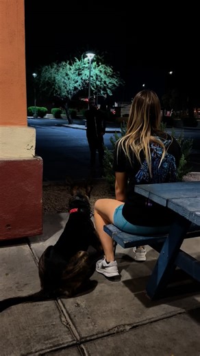 On days ending in day we wear @defconcanine (and Crushie gets to bite 🤣) 🥋 @decoy.malachii | that.shepherd.girl