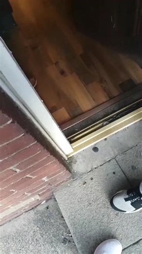 49K views · 721 reactions | Thunder Stings on Reels | Facebook