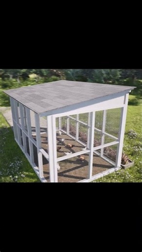 🐔 8x14 ft Chicken Run Plan | DIY Backyard Build #shorts #diy #woodworking #chickencoop #chickenrun
