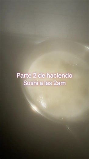 Haciendo Sushi a las 2 AM: Parte 2 de la Aventura