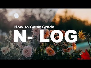 How to Color Grade N-Log Footage
