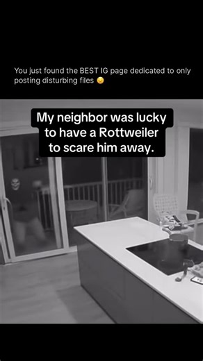 Disturbing Files | Follow @disturbingfiles for more | Instagram