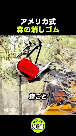 アメリカ式 森の消しゴム