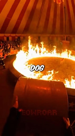 Fire Breather EXPLODED The Ring... Dog Trapped In Flames 😰❤️