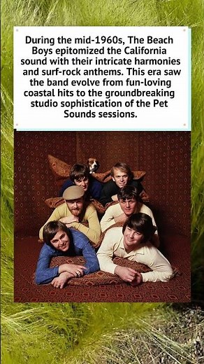 The Beach Boys in the 1960s 🏄‍♂️ #TheBeachBoys #1960s