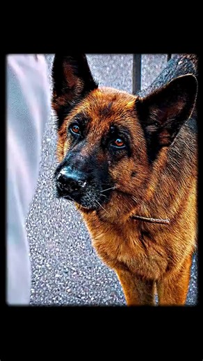 #viral video 1 million movie edit 😛😛😛