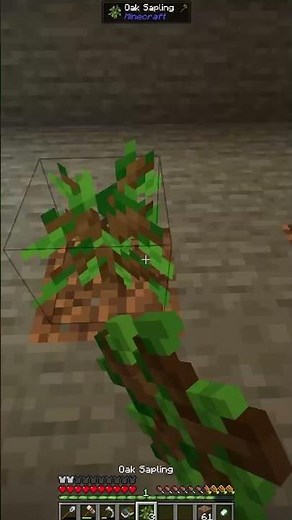 Simple automation! - FTB stoneblock 3 ... #minecraft #gaming #calming #moddedminecraft