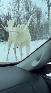 When nature puts up a roadblock | Johnny Valentine