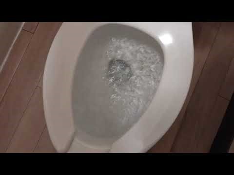 1980's Rear Outlet Briggs 102 Toilet