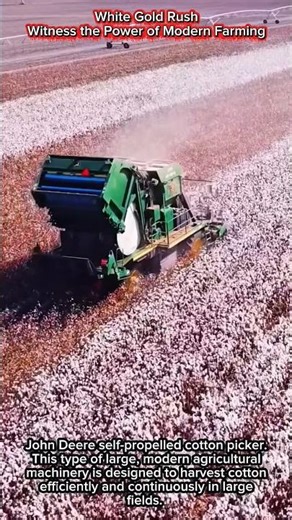 White Gold Rush | Witness the Power of Modern Farming