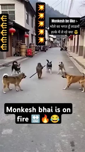 Maximize Your Experience with the LIVE Incentive Program