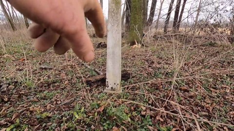 They walked up to an abandoned house - then found a hidden hole beneath the steps, “could go down 100 feet”