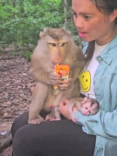 19K views · 267 reactions | Abandoned Newborn Monkey Meets Unexpected Foster #fblifestyle | Game Challenge | Facebook