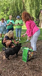 492 reactions · 31 comments | Feeding baby piggy Steve Jenkins #lovelyday #fypviralシ #foryoupageシ #pig #pet | Homerthepig Icabod | Facebook