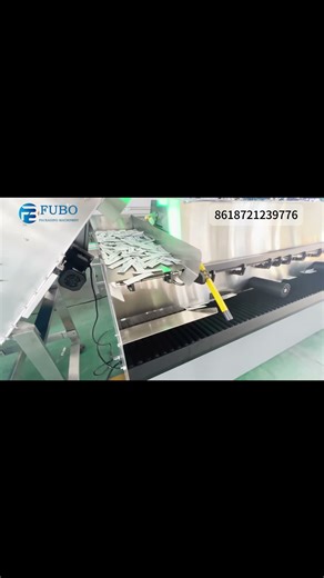 Multi-Functional Bag Sorting Machine