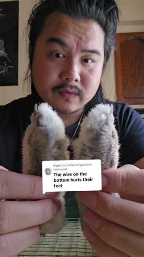 Raising Rabbits: Insights Beyond Armchair Expertise