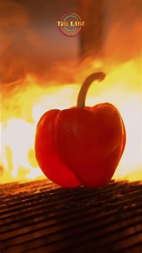 Discover The Ladz Grilling Menu – Bold Flavours, Perfectly Grilled! 🍗🔥✨