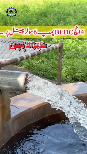 BLDC Pump 4 Inches Delivery