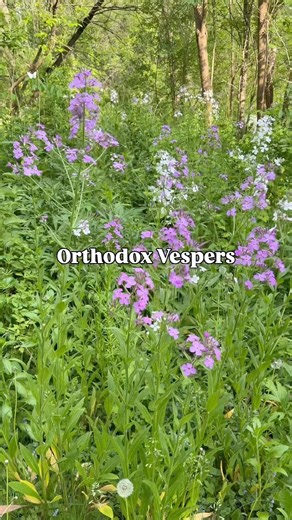 Orthodox Vespers 🕯️ #orthodoxchristian #orthodoxmom #easternorthodoxchurch