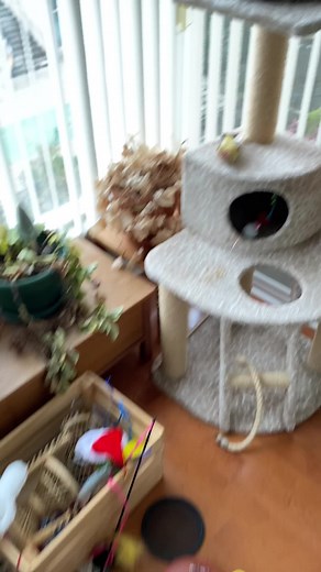 marbles.baby on TikTok