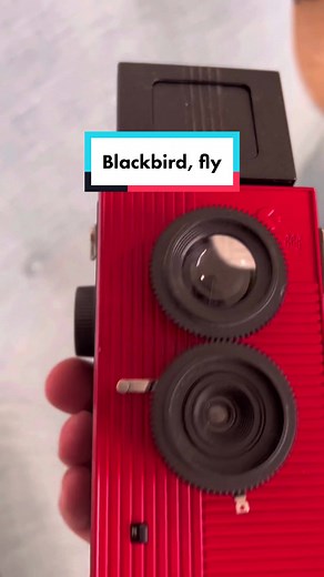 Blackbird Fly 35mm TLR camera by Suoerheadz in Japan