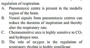 regulation of respiration.A. Pneumotaxic centre is present in ... | Filo