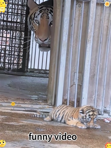 Exploring Semeru: Fun Facts and Updates