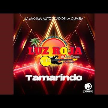 Tamarindo