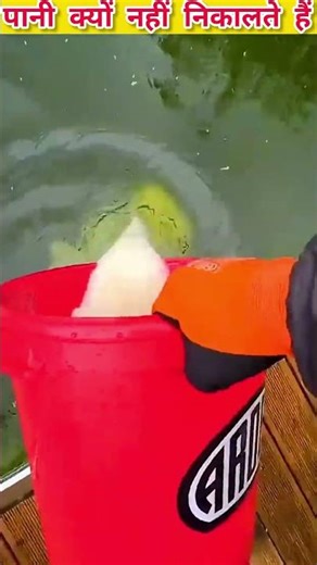 How to clean a swimming pool 😲 #facts #shorts