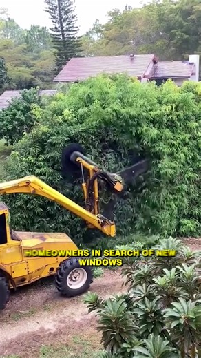 Homeowners... DO NOT buy new windows until you watch this | Claire Peterson