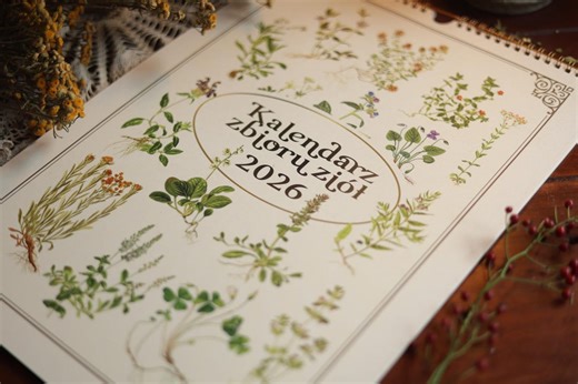 2026 Herbal Medicine Collection Calendar /moon Calendar/biodynamic/ 2026 A3 Format - Etsy