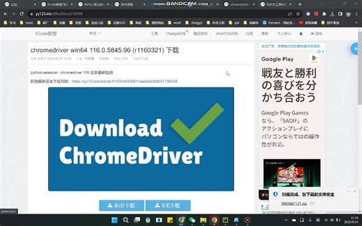 chromedriver win64 116下载教程
