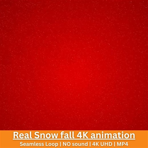 Echter Schneefall 4K Animation Nahtloser Winterbewegungshintergrund - Etsy Schweiz