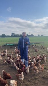 Fi tells us 4 things poultry farmers prioritise to keep their chickens happy and healthy. #BackBritishFarming #Chickens #Hens #Eggs #Eggfarm #Farm #FreeRange | Back British Farming NFU