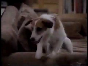 WPIX Frasier promo, 1997