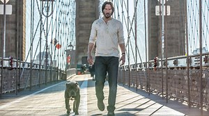 'John Wick 2' Cinematographer: Here's How to Shoot a Great Fight Scene
