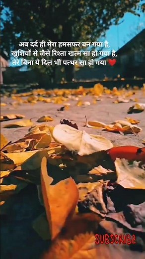 Hum Tere Shahar Me Aaye Hai 💔 | Bollywood Song| Hindi Lyrics| #shorts #feel