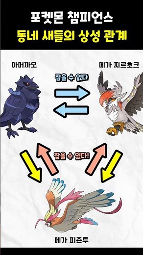 동네새 포켓몬들의 상성 관계 #포켓몬스터