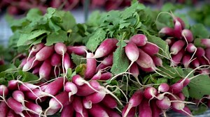 Radish Benefits for Body: Digestion, Liver, Heart & More