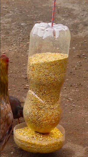 how to make home made chicken feeders and drinker #chickenfeeders #chichendrinkers