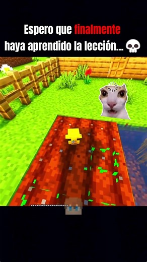 El Pollito Bebé Está TROLEANDO! 😱🐔