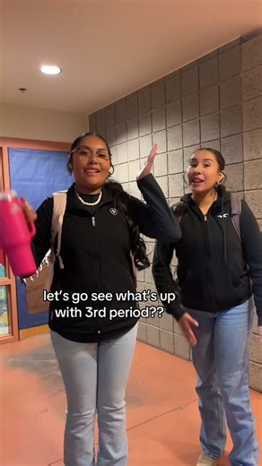 Exploring the Challenges of 3rd Period Science