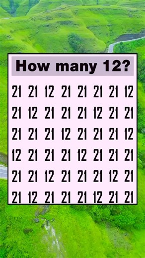 How many 12s do you see? Visual number quiz