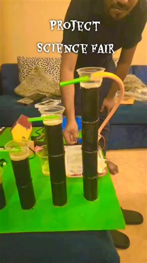 Engaging Science Fair Projects for Students