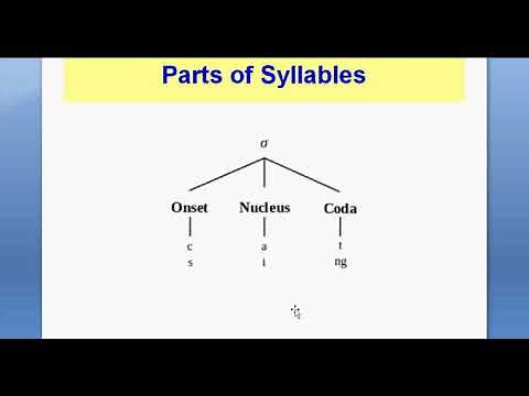 Lesson 5 Syllables onset, rime, nucleus, coda