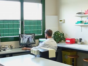 Comprehensive Workflow for the Genome-wide Identification and Expression Meta-analysis of the ATL E3 Ubiquitin Ligase Gene Family in Grapevine